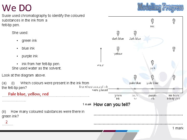 We DO Susie used chromatography to identify the coloured substances in the ink from