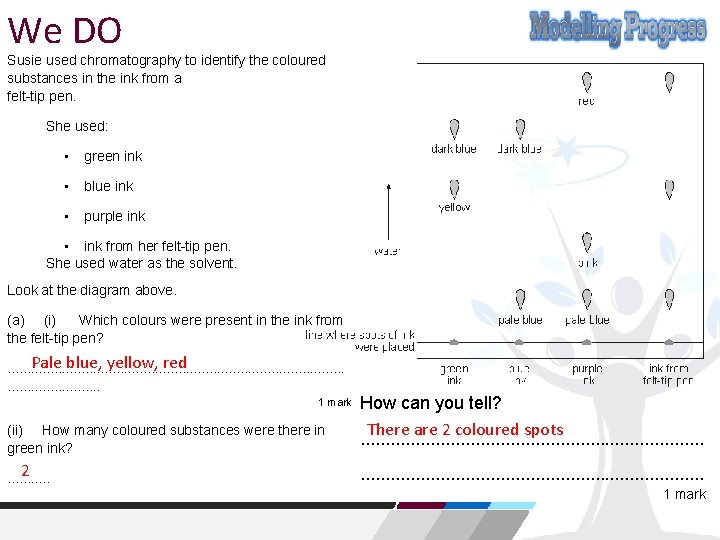 We DO Susie used chromatography to identify the coloured substances in the ink from
