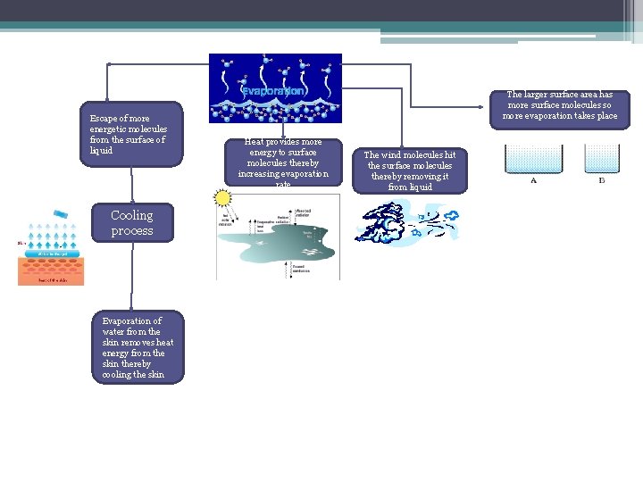 Escape of more energetic molecules from the surface of liquid Cooling process Evaporation of