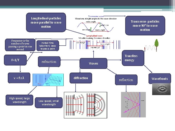 Longitudinal-particles move parallel to wave motion Frequency is the number of waves passing a