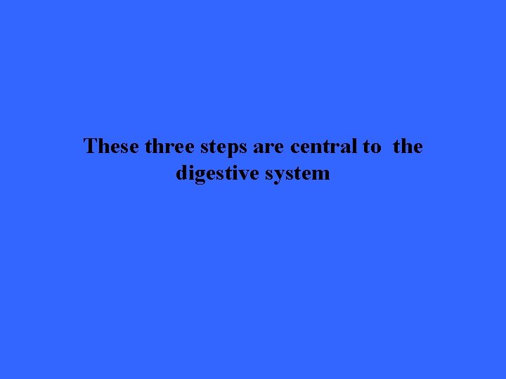 These three steps are central to the digestive system 