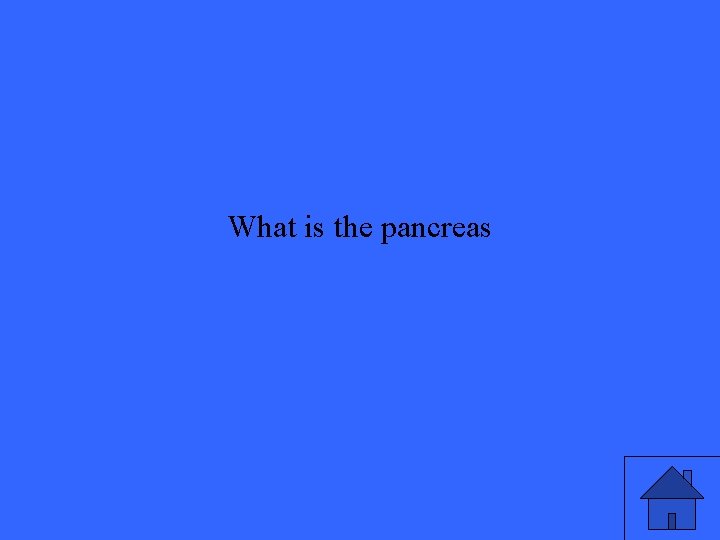 What is the pancreas 