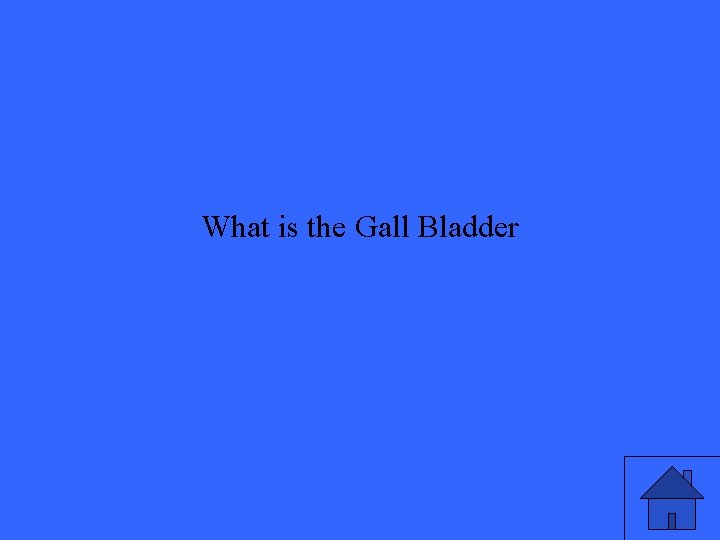 What is the Gall Bladder 