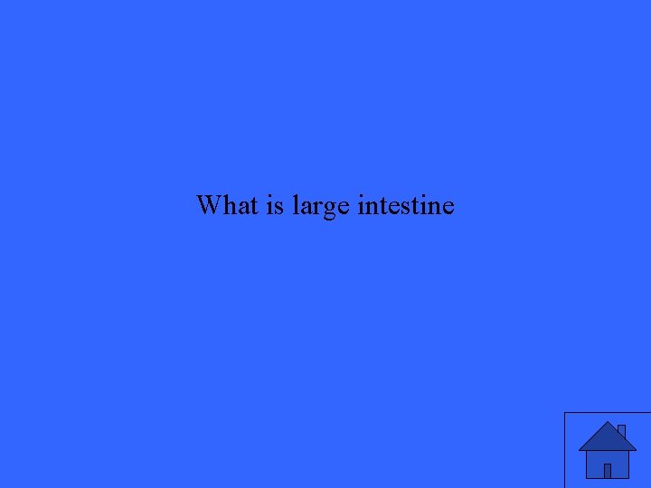 What is large intestine 