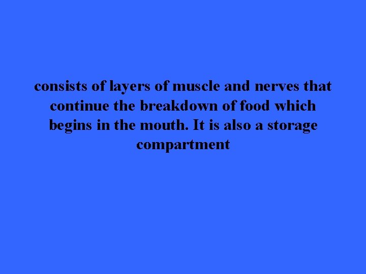 consists of layers of muscle and nerves that continue the breakdown of food which