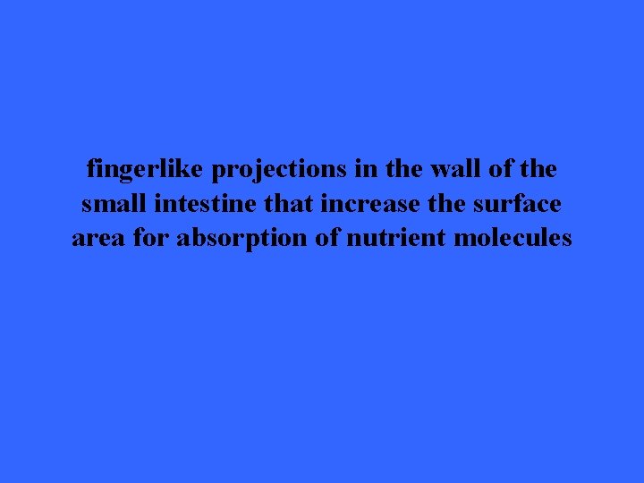 fingerlike projections in the wall of the small intestine that increase the surface area