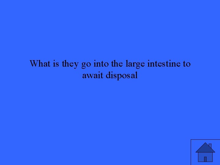 What is they go into the large intestine to await disposal 