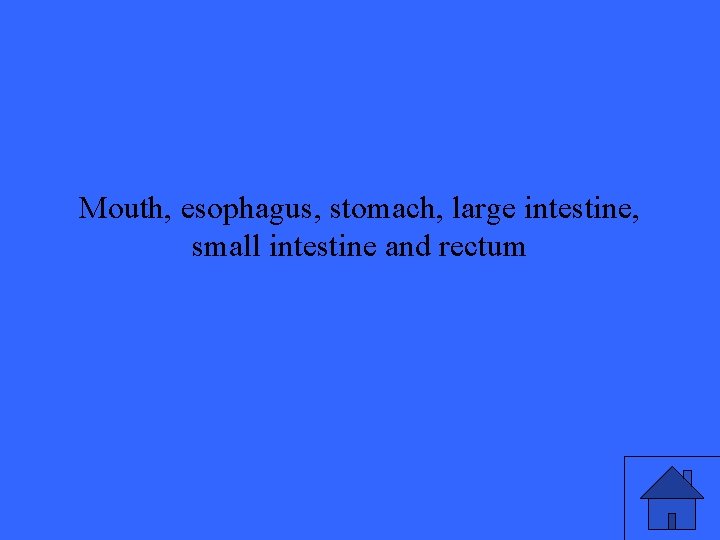 Mouth, esophagus, stomach, large intestine, small intestine and rectum 