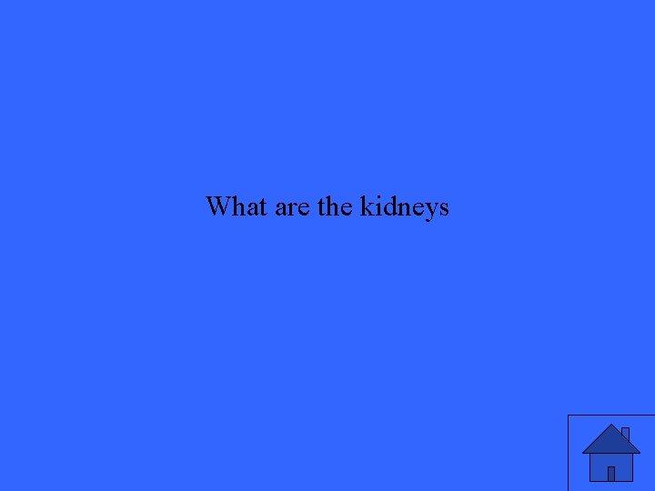 What are the kidneys 