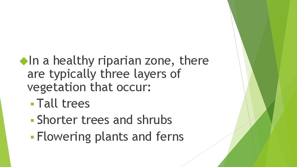  In a healthy riparian zone, there are typically three layers of vegetation that