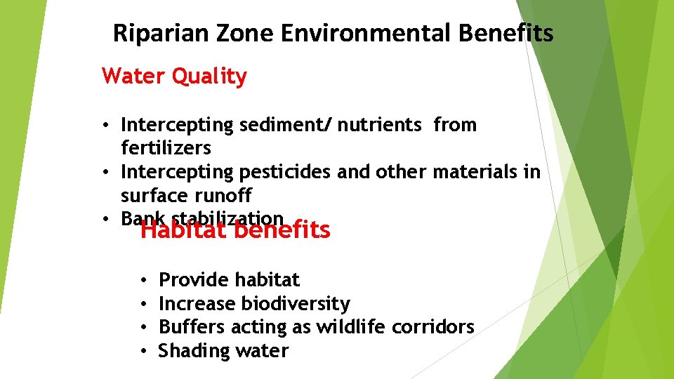 Riparian Zone Environmental Benefits Water Quality • Intercepting sediment/ nutrients from fertilizers • Intercepting