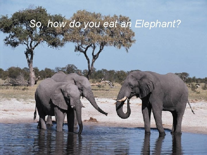 So, how do you eat an Elephant? 