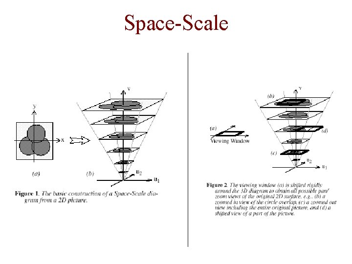 Space-Scale 