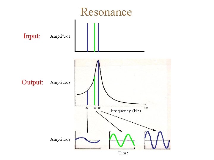 Resonance Input: Amplitude Output: Amplitude Frequency (Hz) Amplitude Time 