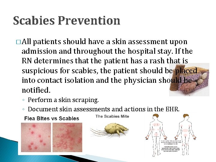 Scabies Prevention � All patients should have a skin assessment upon admission and throughout