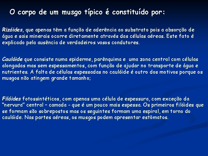 O corpo de um musgo típico é constituído por: Rizóides, que apenas têm a O corpo de um musgo típico é constituído por: Rizóides, que apenas têm a