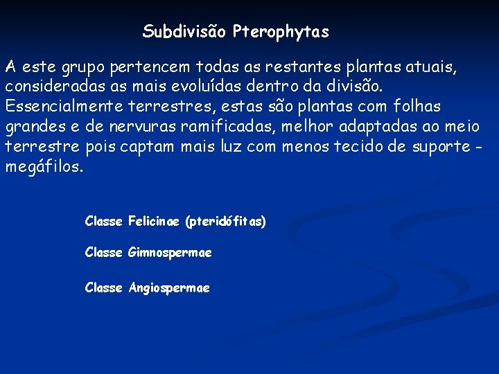 Subdivisão Pterophytas A este grupo pertencem todas as restantes plantas atuais, consideradas as mais Subdivisão Pterophytas A este grupo pertencem todas as restantes plantas atuais, consideradas as mais