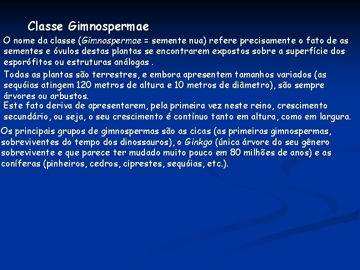 Classe Gimnospermae O nome da classe (Gimnospermae = semente nua) refere precisamente o fato