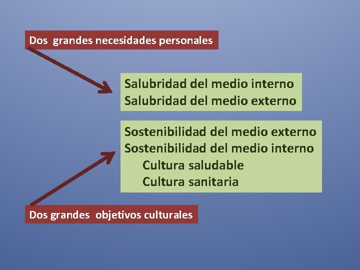 Dos grandes necesidades personales Salubridad del medio interno Salubridad del medio externo Sostenibilidad del