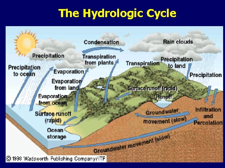 The Hydrologic Cycle 