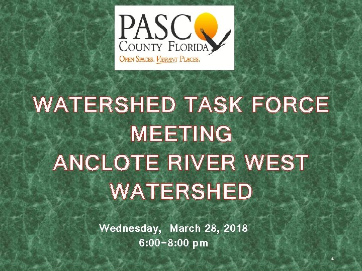 WATERSHED TASK FORCE MEETING ANCLOTE RIVER WEST WATERSHED Wednesday, March 28, 2018 6: 00