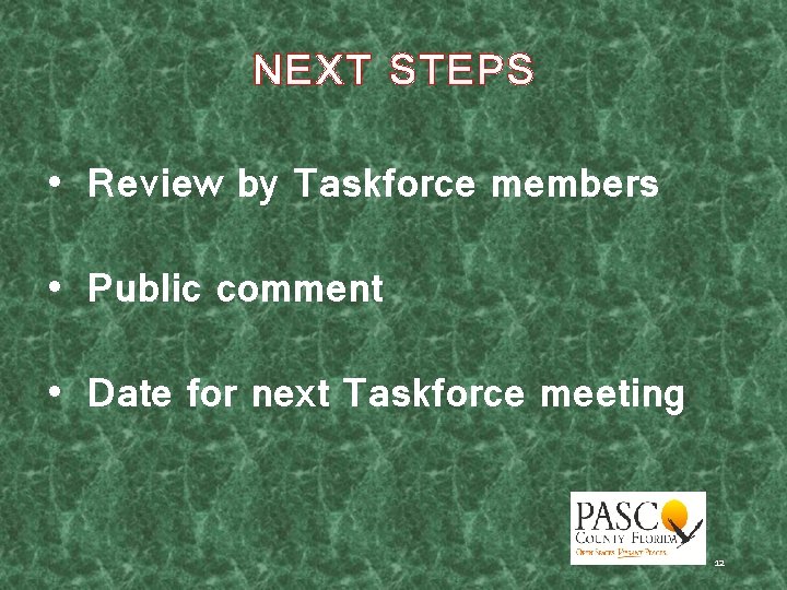 NEXT STEPS • Review by Taskforce members • Public comment • Date for next