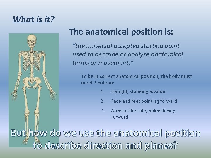 What is it? The anatomical position is: “the universal accepted starting point used to