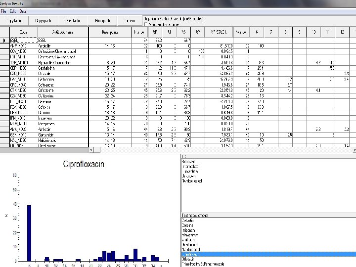 12/13/2021 Sina Mobasherizadeh Ph. D Candidate of Bacteriology 20 