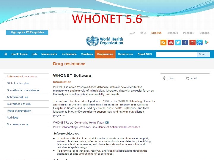 WHONET 5. 6 