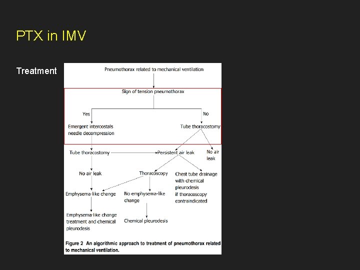 PTX in IMV Treatment 