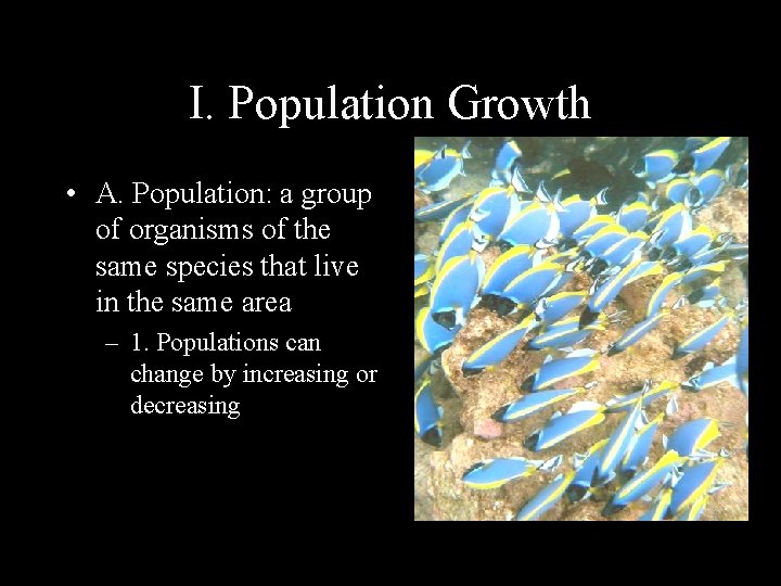 I. Population Growth • A. Population: a group of organisms of the same species