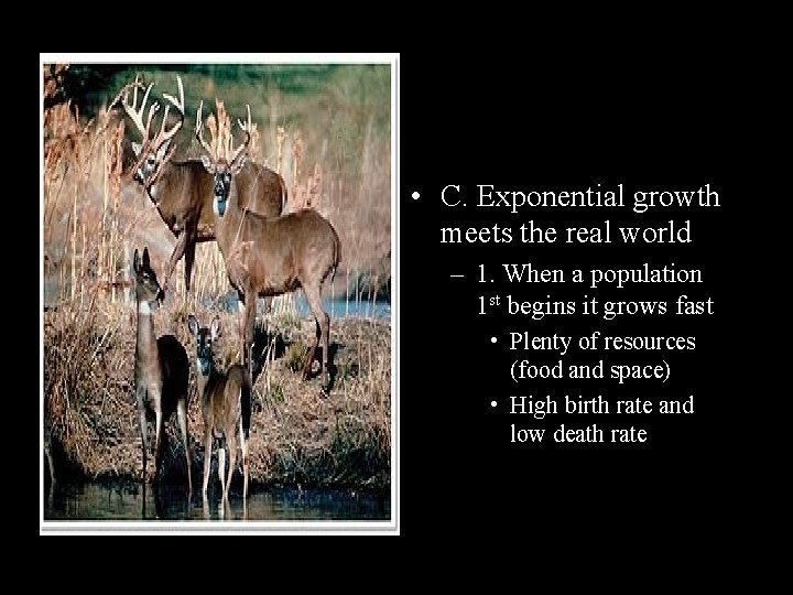  • C. Exponential growth meets the real world – 1. When a population