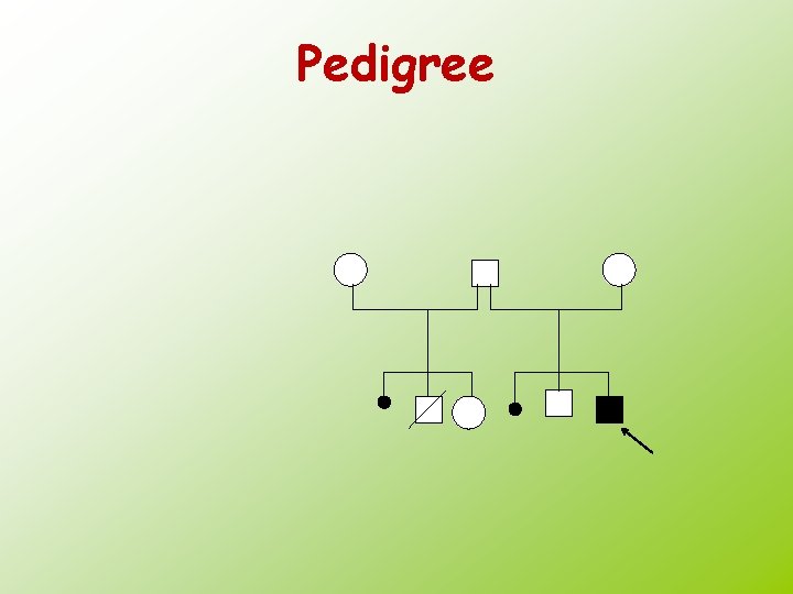 Pedigree 