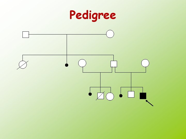 Pedigree 