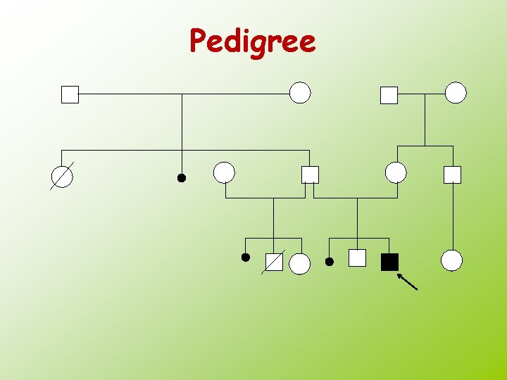 Pedigree 