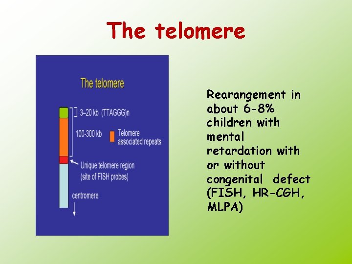 The telomere Rearangement in about 6 -8% children with mental retardation with or without