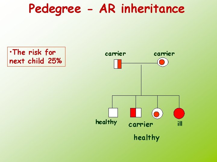 Pedegree - AR inheritance • The risk for next child 25% carrier healthy ill