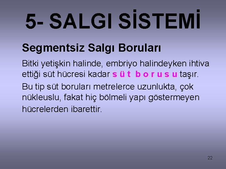 5 - SALGI SİSTEMİ Segmentsiz Salgı Boruları Bitki yetişkin halinde, embriyo halindeyken ihtiva ettiği