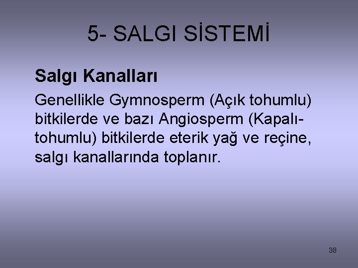 5 - SALGI SİSTEMİ Salgı Kanalları Genellikle Gymnosperm (Açık tohumlu) bitkilerde ve bazı Angiosperm