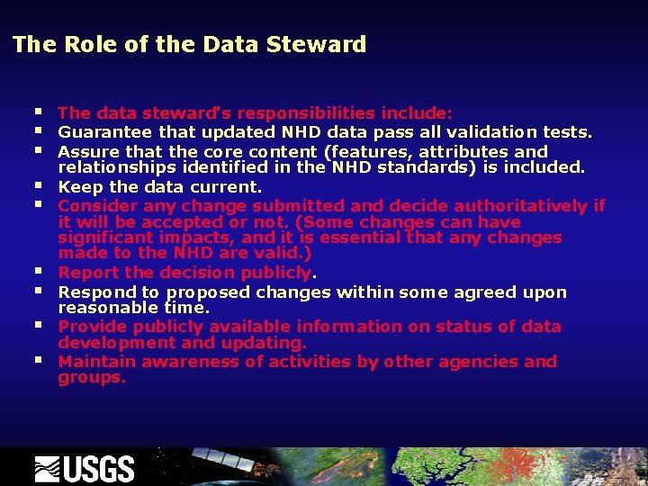 The Role of the Data Steward § § § § § The data steward's