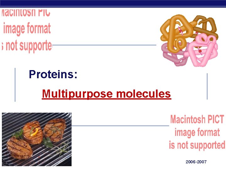 Proteins: Multipurpose molecules Regents Biology 2006 -2007 