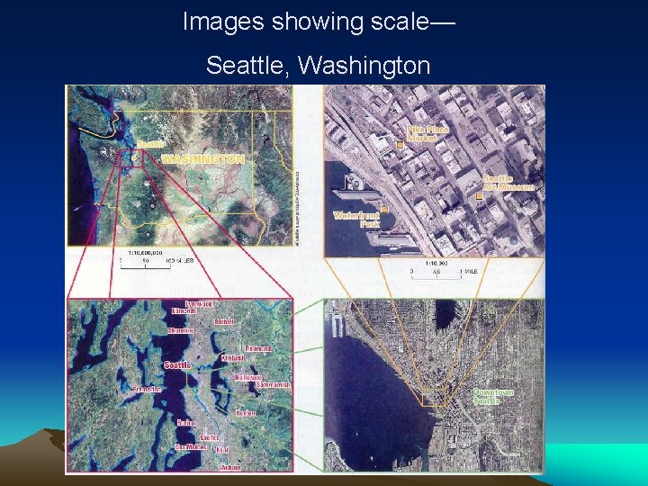 Images showing scale— Seattle, Washington 