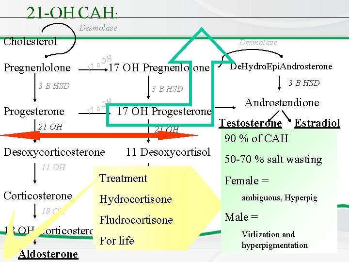 21 -OH CAH: Desmolase Cholesterol Pregnenlolone Desmolase 1 O 7 a H 17 OH