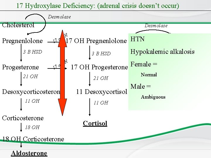 17 Hydroxylase Deficiency: (adrenal crisis doesn’t occur) Desmolase Cholesterol Pregnenlolone Desmolase 1 O 7