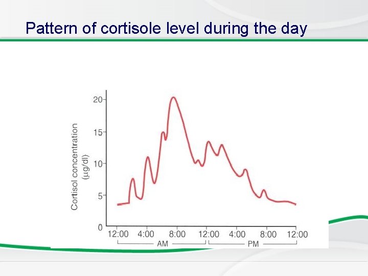 Pattern of cortisole level during the day 