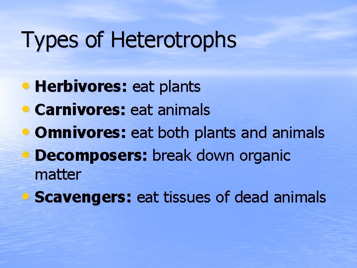 Types of Heterotrophs • Herbivores: eat plants • Carnivores: eat animals • Omnivores: eat