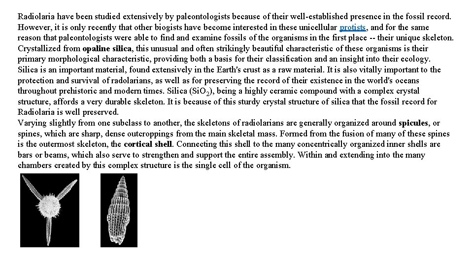 Radiolaria have been studied extensively by paleontologists because of their well-established presence in the