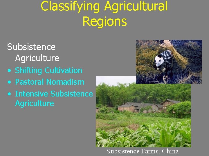 Classifying Agricultural Regions Subsistence Agriculture • Shifting Cultivation • Pastoral Nomadism • Intensive Subsistence