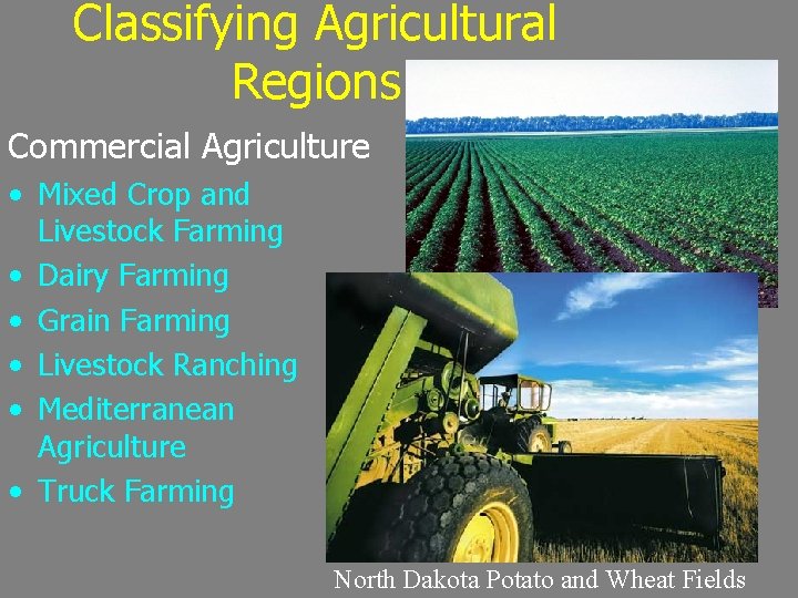 Classifying Agricultural Regions Commercial Agriculture • Mixed Crop and Livestock Farming • Dairy Farming
