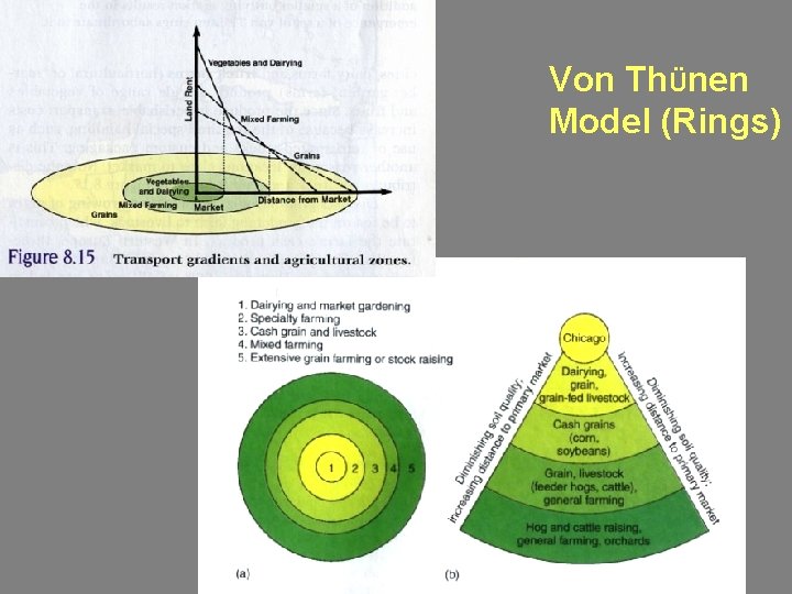 Von ThÜnen Model (Rings) 